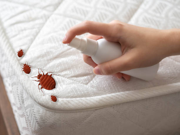 Mebane, NC Pest Control Company